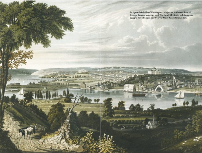 Washington DC: makten, historien, kulturen - Image 8